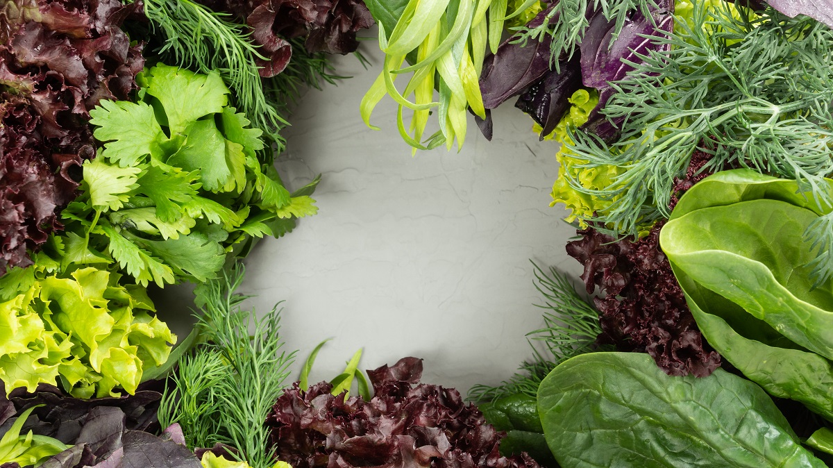 Pinscher toy: le verdure migliori da dare al proprio amico a 4 zampe