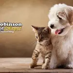 Negozi animali online: le proposte di Robinson Pet Shop