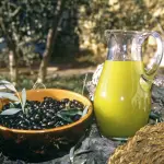 Olio d’oliva ai cani: fa bene o male?