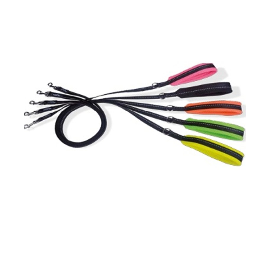 Quale guinzaglio scegliere per il nostro cane