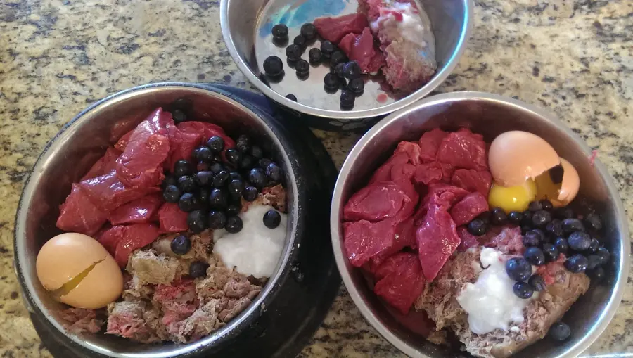 Alimentazione Pinscher dopo la sterilizzazione