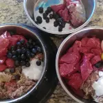 Alimentazione Pinscher dopo la sterilizzazione